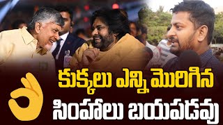 కుక్కలు ఎన్ని మొరిగిన సింహాలు..| Common Man Great Words About Pawan Kalyan Chandra Babu | TV24Studio