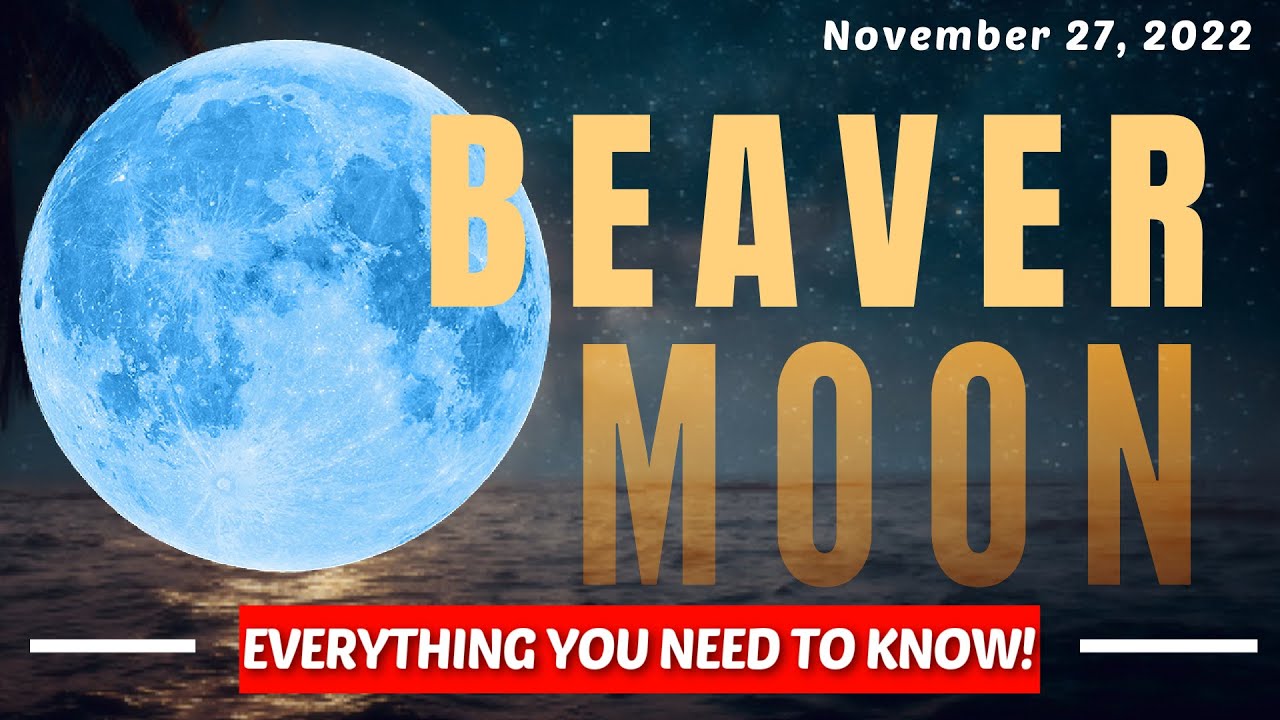 7 Things That Will Happen During November Full Moon! | Full Beaver Moon ...