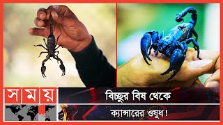 নীলচে বিচ্ছুর বিষের দাম ৮৬ কোটি টাকা! | Scorpion | Somoy Entertainment