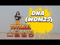 DNA (WDM25) Line Dance 💕TUTORIAL 스텝설명  Intermediate