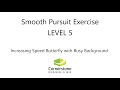 Vestibular & Concussion Exercise – Smooth Pursuit Level 05