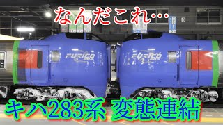 【変態連結】キハ283系 頭同士で連結 6両編成 回送列車を撮影！