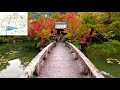 【4k】京都紅葉の名所 永観堂（eikan dō） beautiful autumn maple leaves and temples in kyoto japan