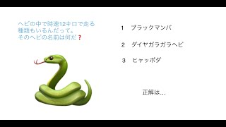 「蛇の秘密」ふみとしくん（小5）音声なし