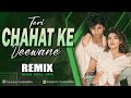 Teri chahat ke Diwane hue hum | Remix | Kush Hell Mix | Kumar sanu | Alka Yagnik | Saif ali khan