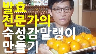 발효전문가의 숙성 감말랭이만들기, 단감말랭이