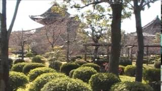 東寺・西本願寺・東本願寺