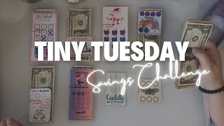 Tiny Tuesday | More Challenges Completed |#minisavingschallenges