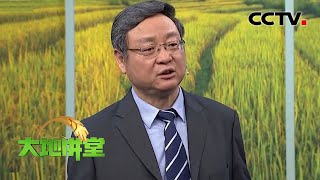 《大地讲堂》解读中央一号文件特别节目——保障支撑 20200405 | CCTV农业