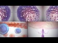 Elsevier Animations