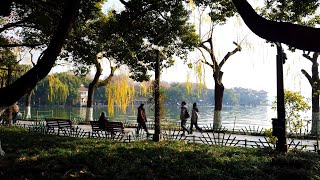 【Walking 杭州 71】 4K 2025 西湖散策 Walking around West Lake (250102)