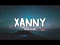 Billie Eilish - xanny (Lyrics)