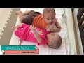 twins house japanese twins ☆the story of boys and girls twins ☆11 34 weeks pregnant belly