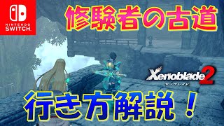 【ゼノブレイド2】「修験者の古道」への行き方解説！モルスの断崖で必ず通る場所。