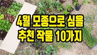 4월에 모종으로 심는 작물 10가지