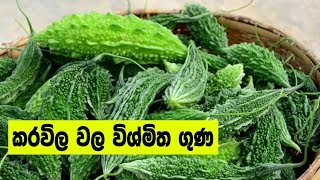 කරවිල වල විශ්මිත ගුණ - Health Vedeo