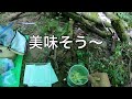 沢猿テンカラ源流キャンプ釣行！ r2年最後の釣行！その③ 源流でかき揚げ