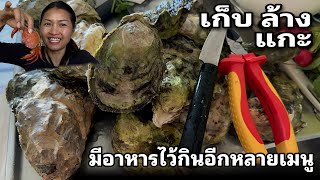 หอยนางรมแกะยังไง ง่ายสุด 😄 กุ้ง ปู ที่ตกมา ทำอะไรกินบ้าง หลังมาจากทะเลคืองานที่เหนื่อยไม่ค่อยสนุก😅