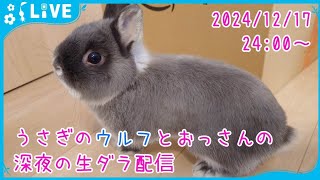 【雑談・うさぎ】うさぎのウルフとおっさんの深夜の生ダラ配信　2024/12/17