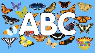 Butterfly ABC | Alphabet of Butterflies | NurseryTracks