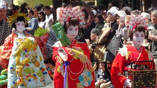 江戸吉原おいらん道中 一葉桜まつり 外国人観光客も楽しむ　Oiran - A   procession of courtesans  Asakusa Yoshiwara TOKYO