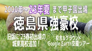 2023徳島県春夏甲子園出場強豪校Google Earth空撮ツ