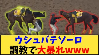 【競馬】「ウシュバテソーロ 調教で大暴れwww」に対する反応【反応集】