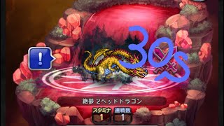 【FFRK】FF3絶夢 2ヘッドドラゴン(30秒切り)