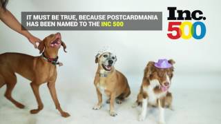 Pet-friendly workplaces | PostcardMania