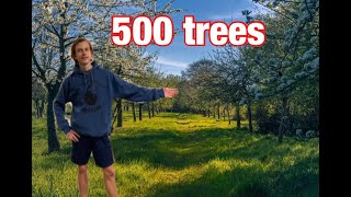 Planting 500 Trees