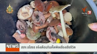 สสจ.ยโสธร แจ้งเตือนกินเห็ดพิษเสี่ยงเสียชีวิต