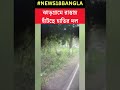 ফের jhargram এর লোকালয়ে দেখা দিল হাতি দল shorts