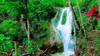 Beautiful Waterfalls. Flowing Water, water ASMR, for relaxation