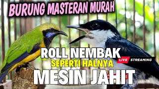 GURU MASTERAN HANDAL - ROLL TEMBAK MESIN JAHIT - JINGJING PETUAK Kombinasi CUNGKOK KUNTILANAK