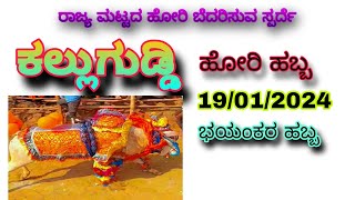 ಕಲ್ಲುಗುಡ್ಡಿ ಹೋರಿ ಹಬ್ಬ | kalluguddi ಹೋರಿ habba | ಟಾಪ್ ಹಬ್ಬ  | ಭಯಂಕರ ಹಬ್ಬ ಟಾಪ್ ಪೀಪಿ most watch 🥵😱🥵