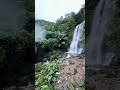 കാപ്പിമല വെള്ളച്ചാട്ടം കണ്ണൂർ kappimala waterfalls best waterfalls in kannur kappimala waterfall