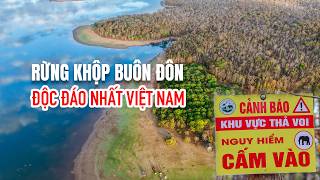 Du lịch Đắk Lắk - Ngắm rừng khộp mùa thay lá đẹp như Châu Âu | Cắm trại ở Buôn Đôn | #GauHamDi 67