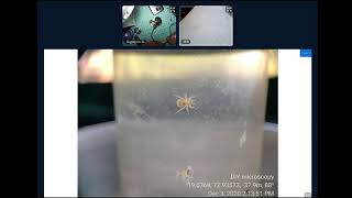 MakerSpace Chatshaala: Microscopy