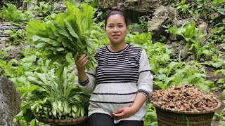 Ly Thi Ca Is 8 Months Pregnant - Harvesting Turmeric & Green Vegetables Goes to market sell