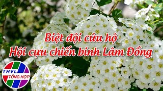 Hoa đẹp giữa đời thường: Biệt đội cứu hộ Hội Cựu chiến binh Lâm Đồng