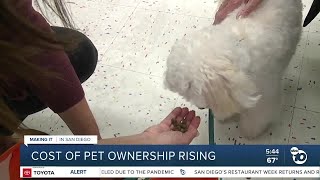 Pet owners trying out new kibble refill stations at Petco