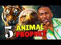 HOW PROPHETS CAN IMPART THEIR GIFTS TO OTHERS?  #prophetjavateachings