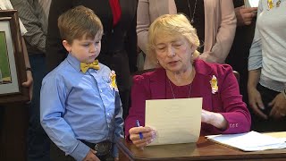 New law makes March Maine Childhood Cancer Awareness Month