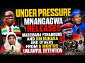 UNDER PRESSURE MNANGAGWA RELEASES MADZIBABA ESHANDUKO,KUNAKA ET AL  FROM 8 MONTHS UNLAWFUL DETENTION
