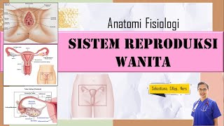 ANATOMI FISIOLOGI SISTEM REPRODUKSI WANITA