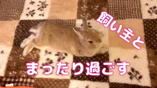 【とっても可愛いうさぎ】飼い主の予定のない朝　はなちゃん、まったり好きに過ごします。