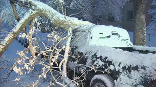 'Ridiculously Heavy': Spring Snow Breaks Branches, Causes Power Outages Friday Morning