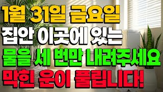 1월 31일 금요일, 집안 이곳에 있는 물을 세 번만 내려주세요! 막힌 운이 풀립니다! (돈복 터지는 생활풍수)