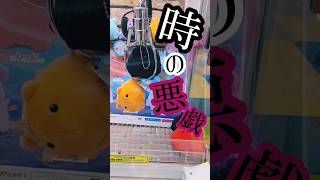 二兎を追う者【UFOキャッチャー】【メンダコ】【乱獲】