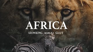 Photoshopでライオンを使ってポスター風の画像を作成してみた 【Africa lionking】